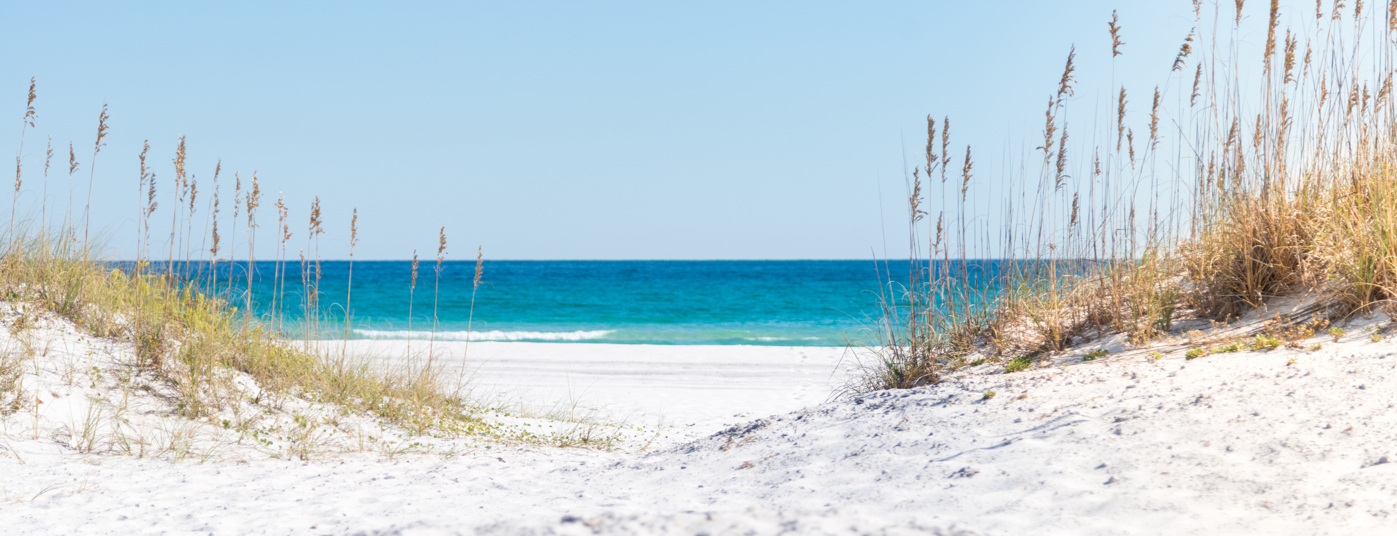 Pensacola Beach, Florida dunes, grasses and ocean